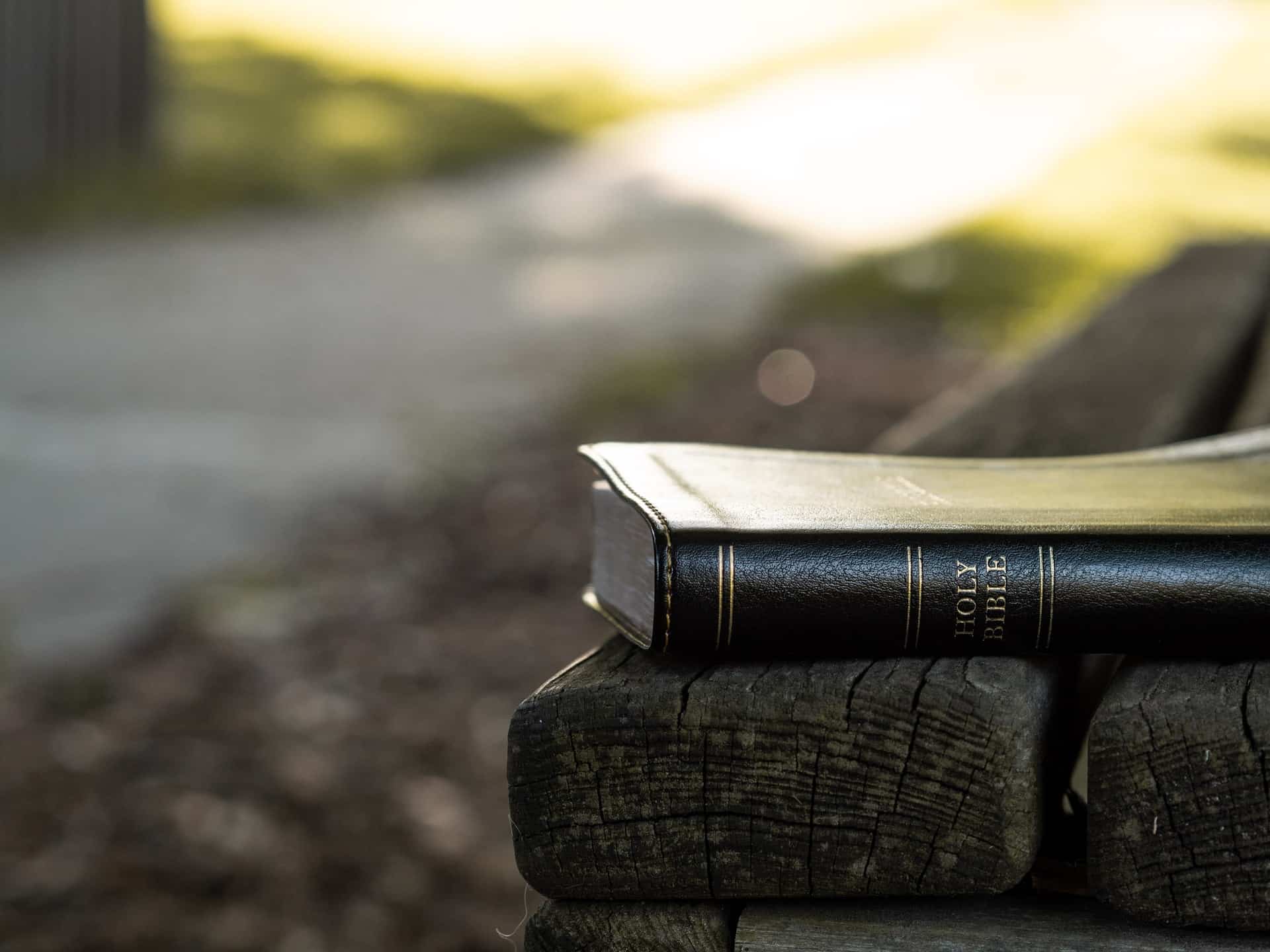 holy bible on a bench