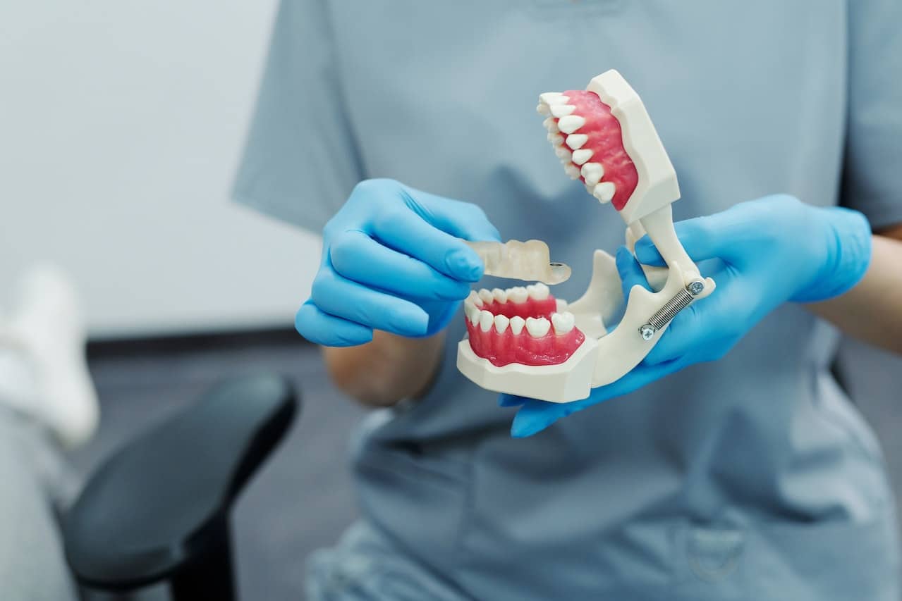 a person holding a teeth model