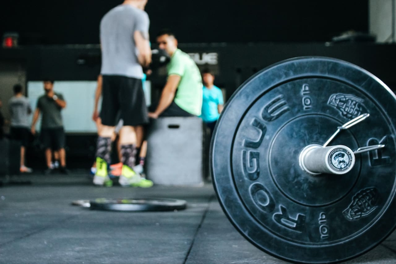 10lb rogue weight plate