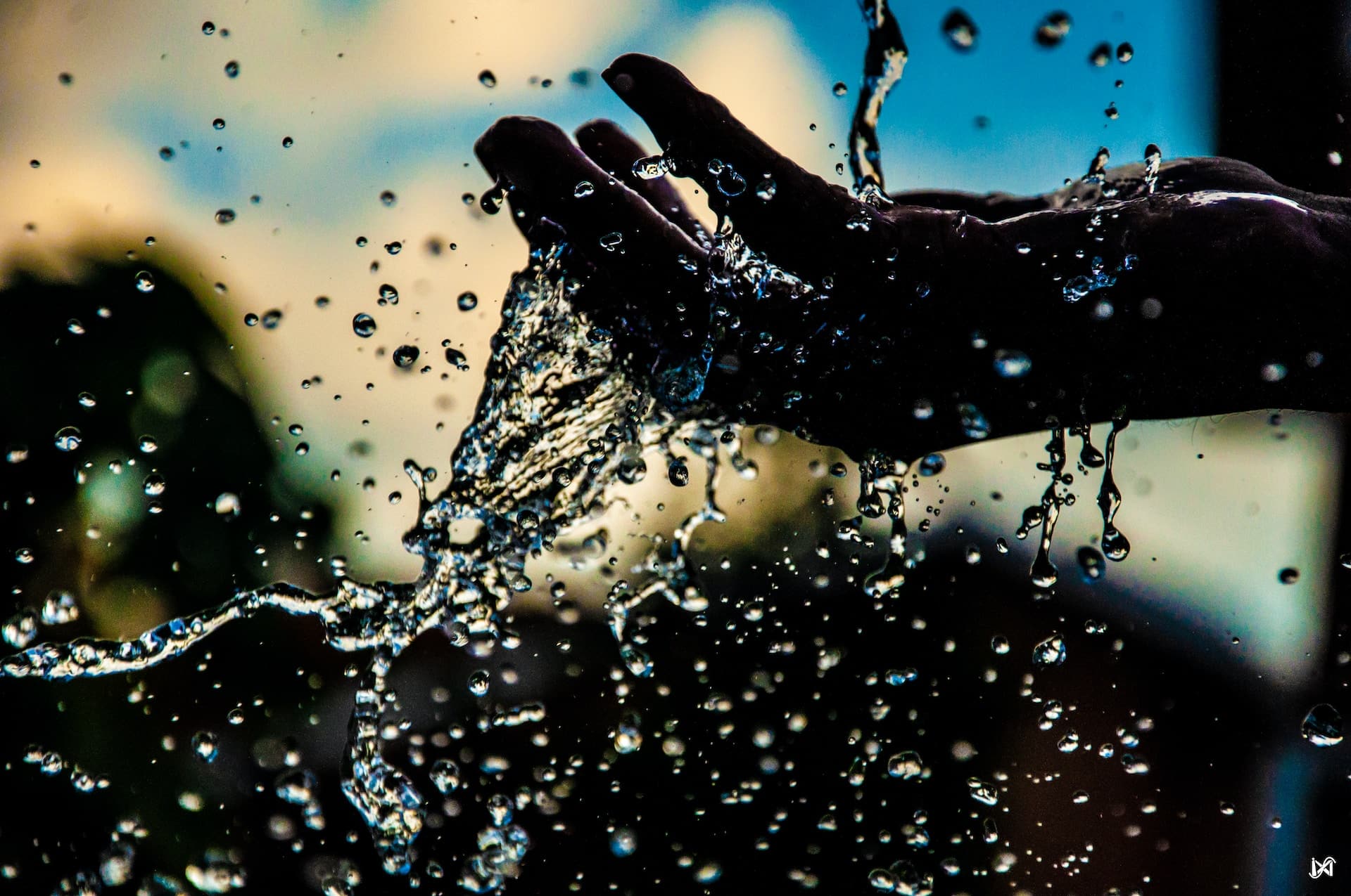 close up photography of water droplets on person hand