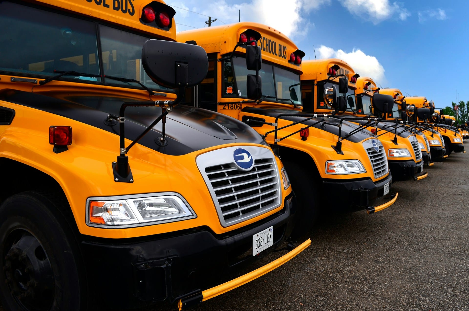 yellow school buses in row