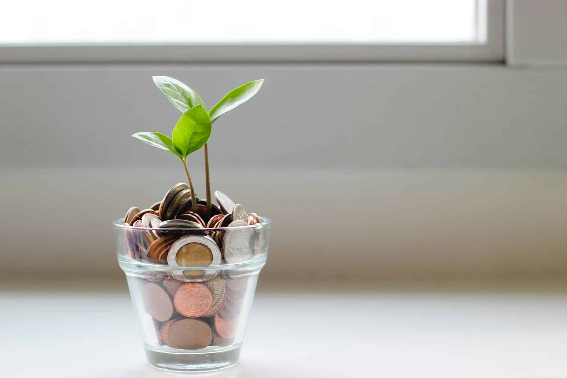a cup filled with coins and a plant growing