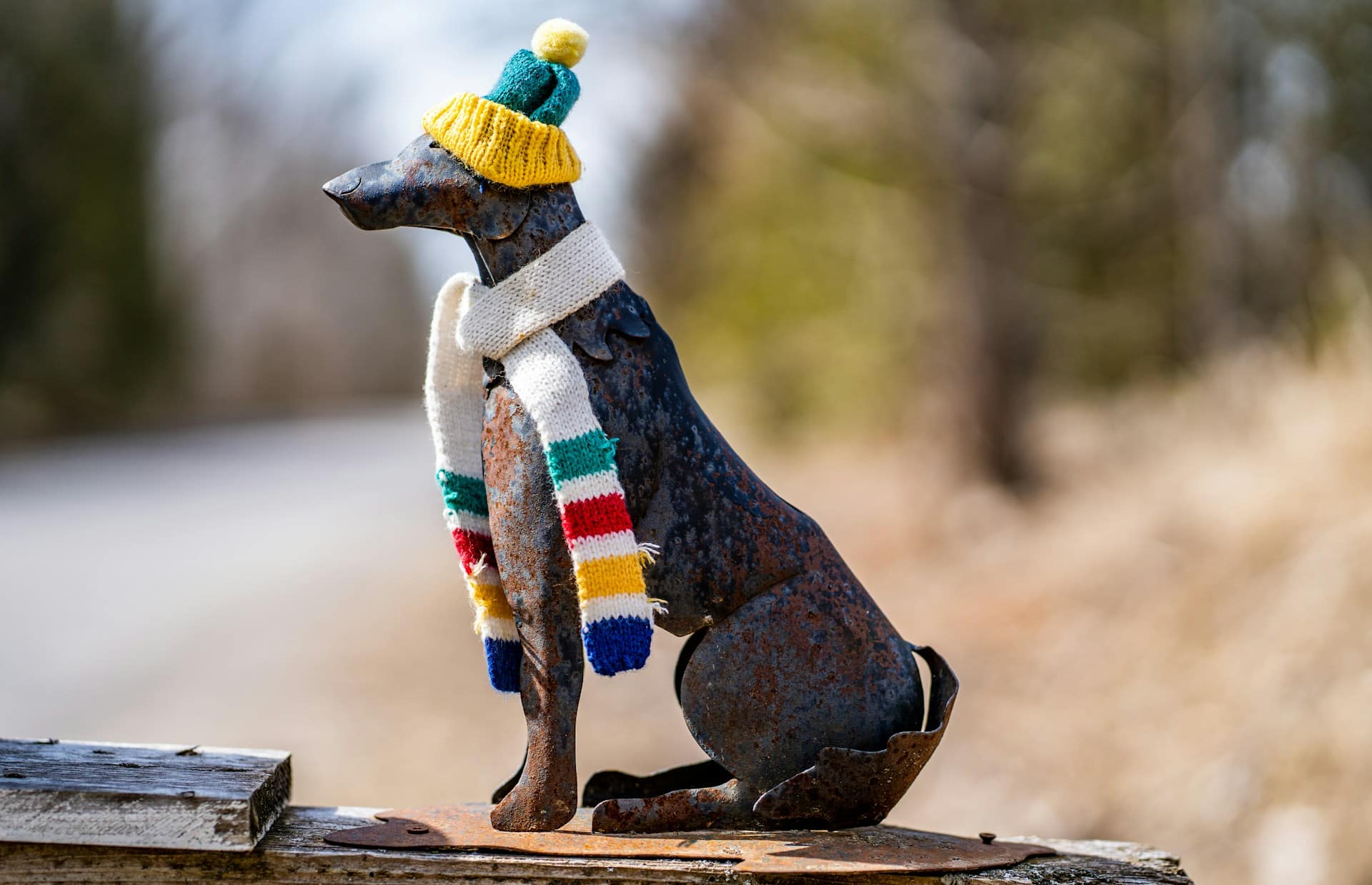 An iron statue of a dog wearing a knit hat and a knit scarf in the HBC colours, representing Hudson's Bay Co.'s insolvency and layoffs